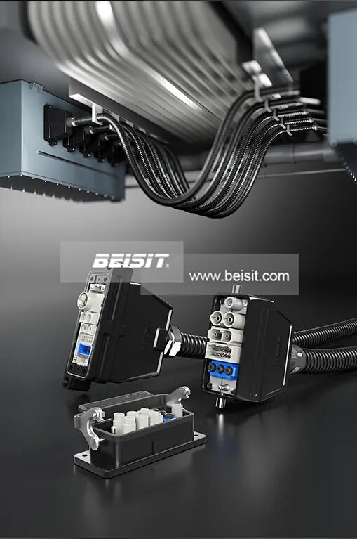beisit5