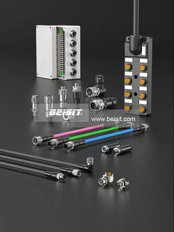 beisit8